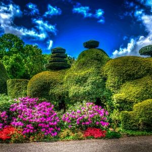 Meet your Posher, Laquita